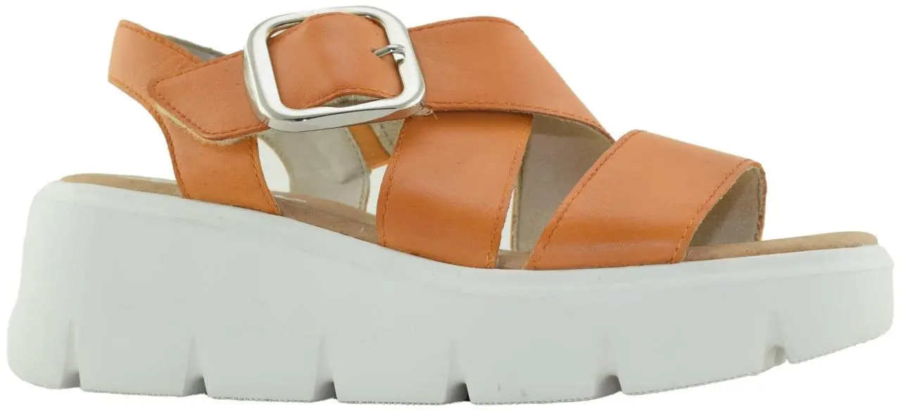 Купить W1550-38 RIEKER Босоножки женские за 5 570 руб. в интернет-магазине Дом Обуви