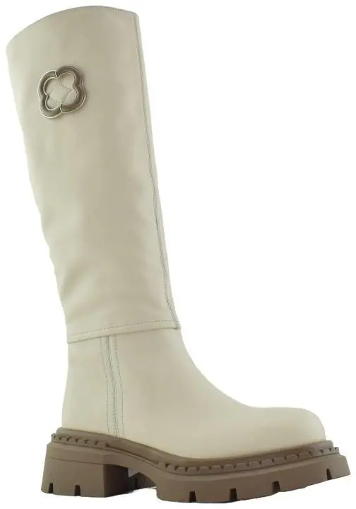 Купить H590B-N1760-5 JA'VENSI Сапоги женские за 11 210 руб. в интернет-магазине Дом Обуви