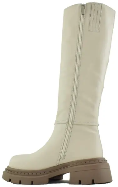 Купить H590B-N1760-5 JA'VENSI Сапоги женские за 11 210 руб. в интернет-магазине Дом Обуви